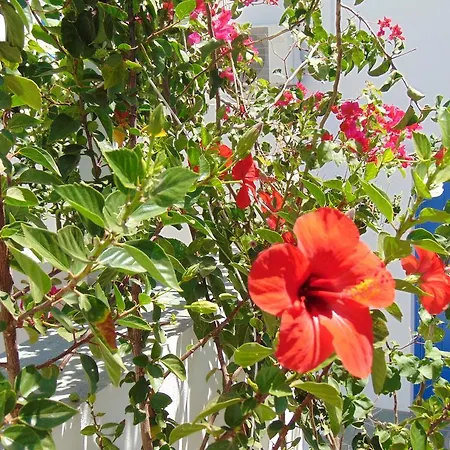 George's Seaside Sifnos דירה