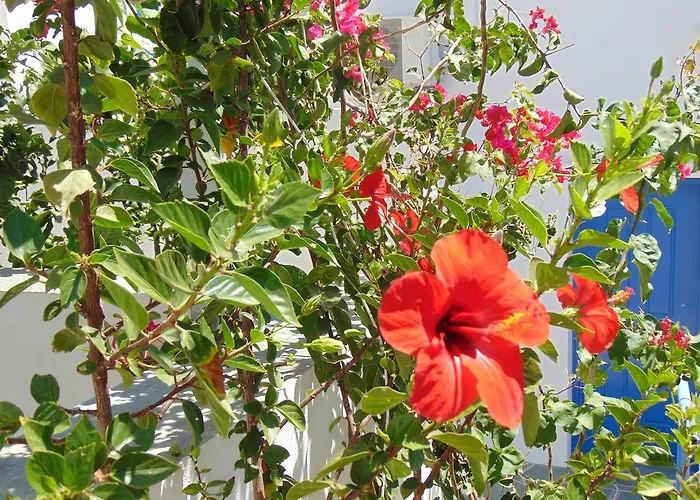 George's Seaside Sifnos 아파트